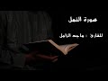 سورة النمل للقارئ ماجد الزامل
