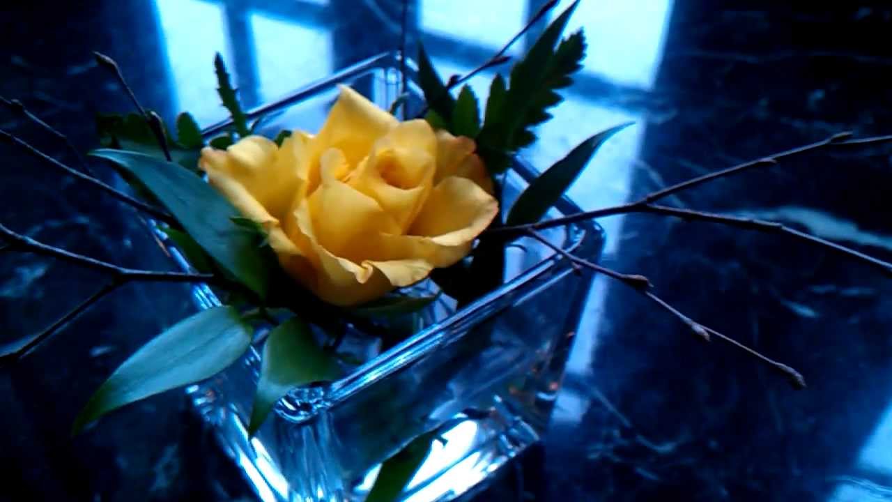 Wartburg Hotel View from the Luther Room