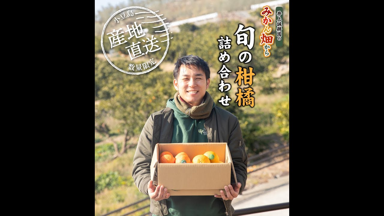 旬の柑橘詰め合わせ 5kg（スイートスプリング・せとか） ｜ 井上誠耕園