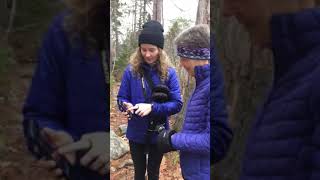 Interacive Map Project, Shaw Wilderness Park