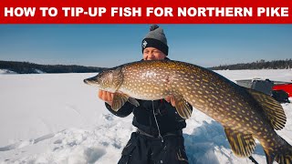 How To TipUp Fish For Northern Pike (Complete Rigging)