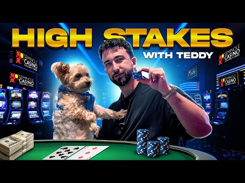 Enjoy 1Win Casino Free Spins as a South African Customer - Play Top Online Games in English