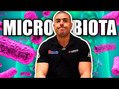 A microbiota de magro *polêmica*