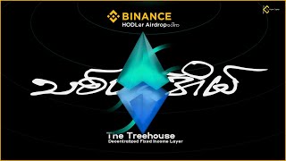 BNB နဲ့ အတိုးယူနေတဲ့ သူတွေအတွက် TREE Token | Treehouse Holder Airdrop