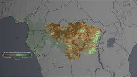Congo Forest Cover