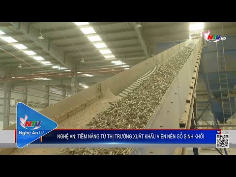 Xuất Khẩu Than Đen - Nghệ An: Tiềm năng từ thị trường xuất khẩu viên nén gỗ sinh khối