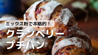 ミックス粉で本格的！ クランベリープチパン