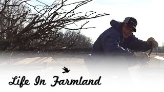 Time to put some brush piles to good use - Wood Chipper Project