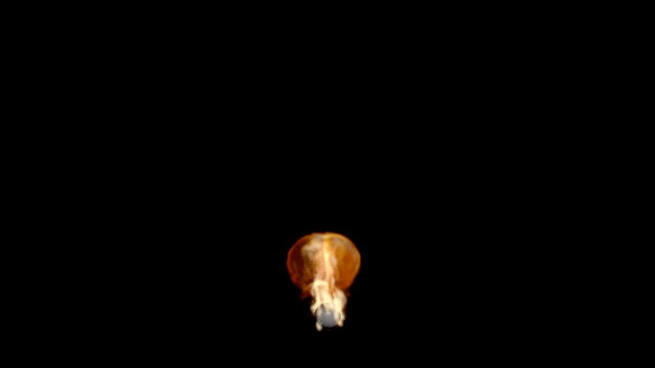 Yet Another Fire Simulation (YAFS)