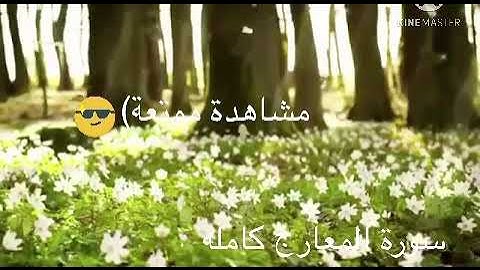 ‏سورة المعارج كاملة بصوت القارئ إسلام صبحي ‏أرح قلبك🤩✨
