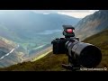 Olympus EE-1 Dot Sight Review with the M.Zuiko 300mm f/4