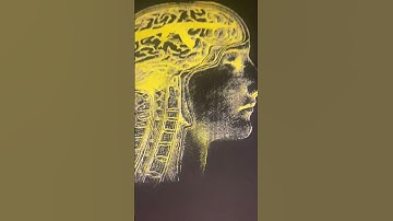 How to screen print multi colors