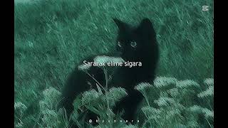 İllegal ortağım...
