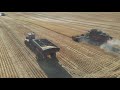 Wheat Harvest July 2020 Sunny Slopes JV