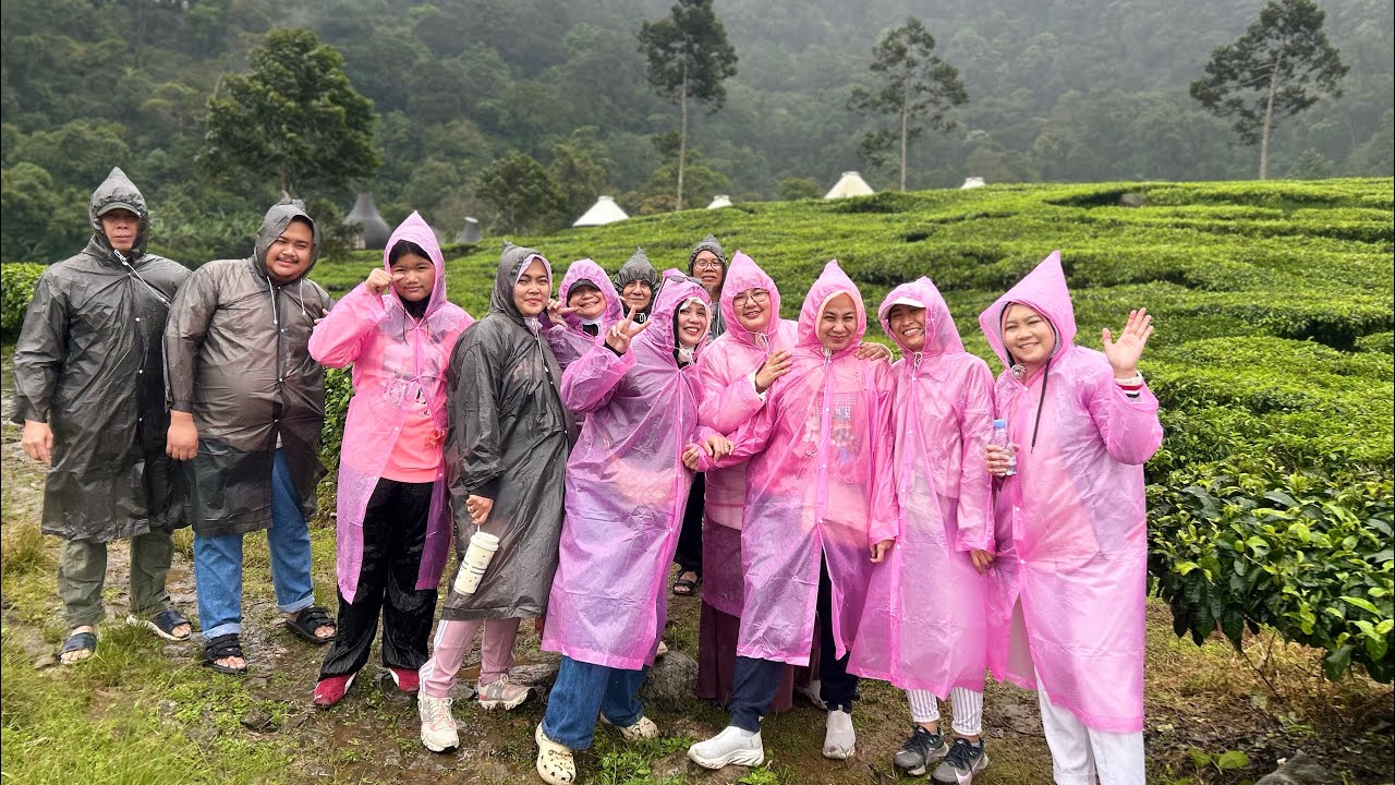 THE  CILIWUNG TEA ESTATE - TELAGA SAAT CISARUA PUNCAK BOGOR