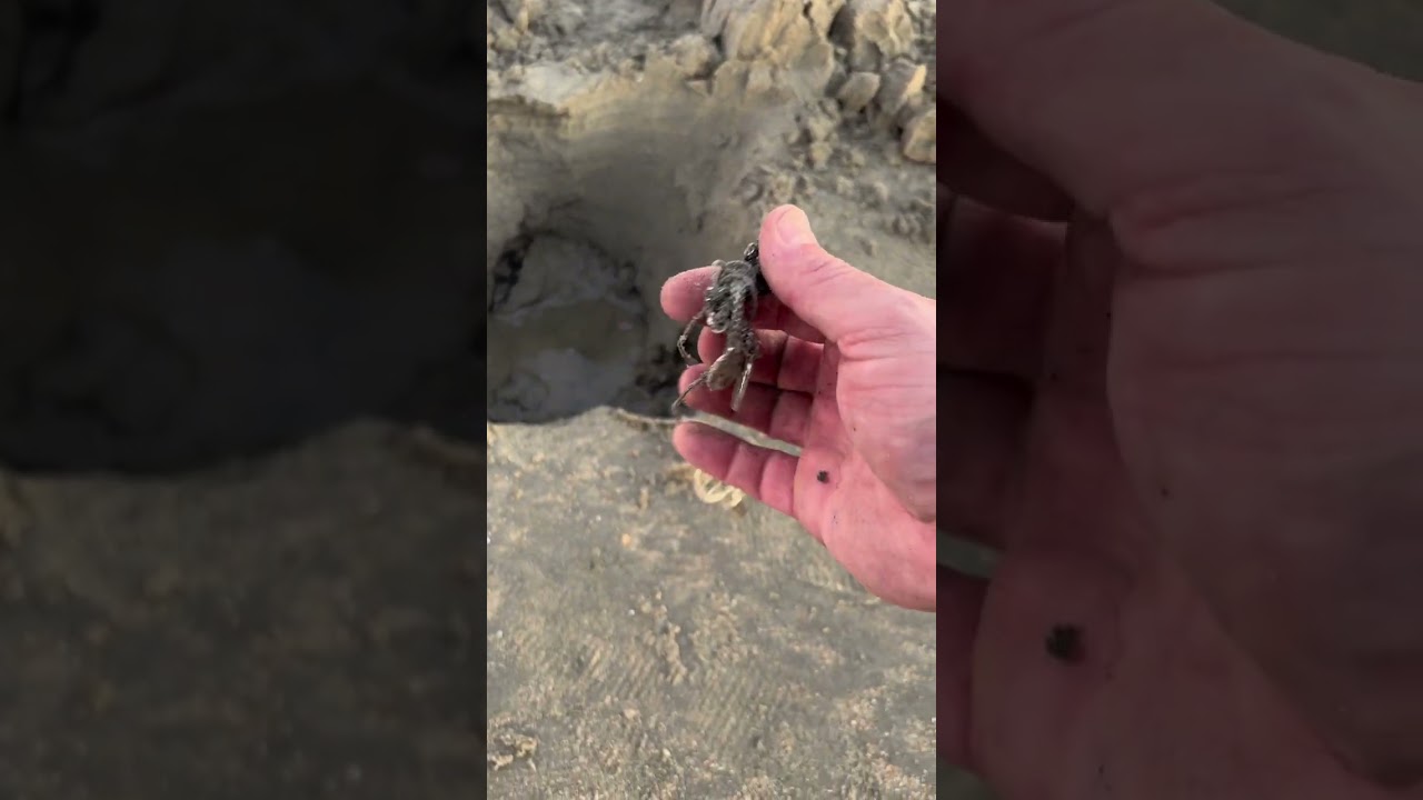 Ювелирный шар