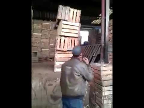 والله اعدت هدا فيديو اكثر من 50 مرة ههههههههههه