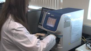 Math & Science Institute students working in the lab