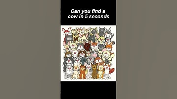 IQ test №11 for visual-spatial perception / #find #iqtest #opticalillusion #testing #think #iq
