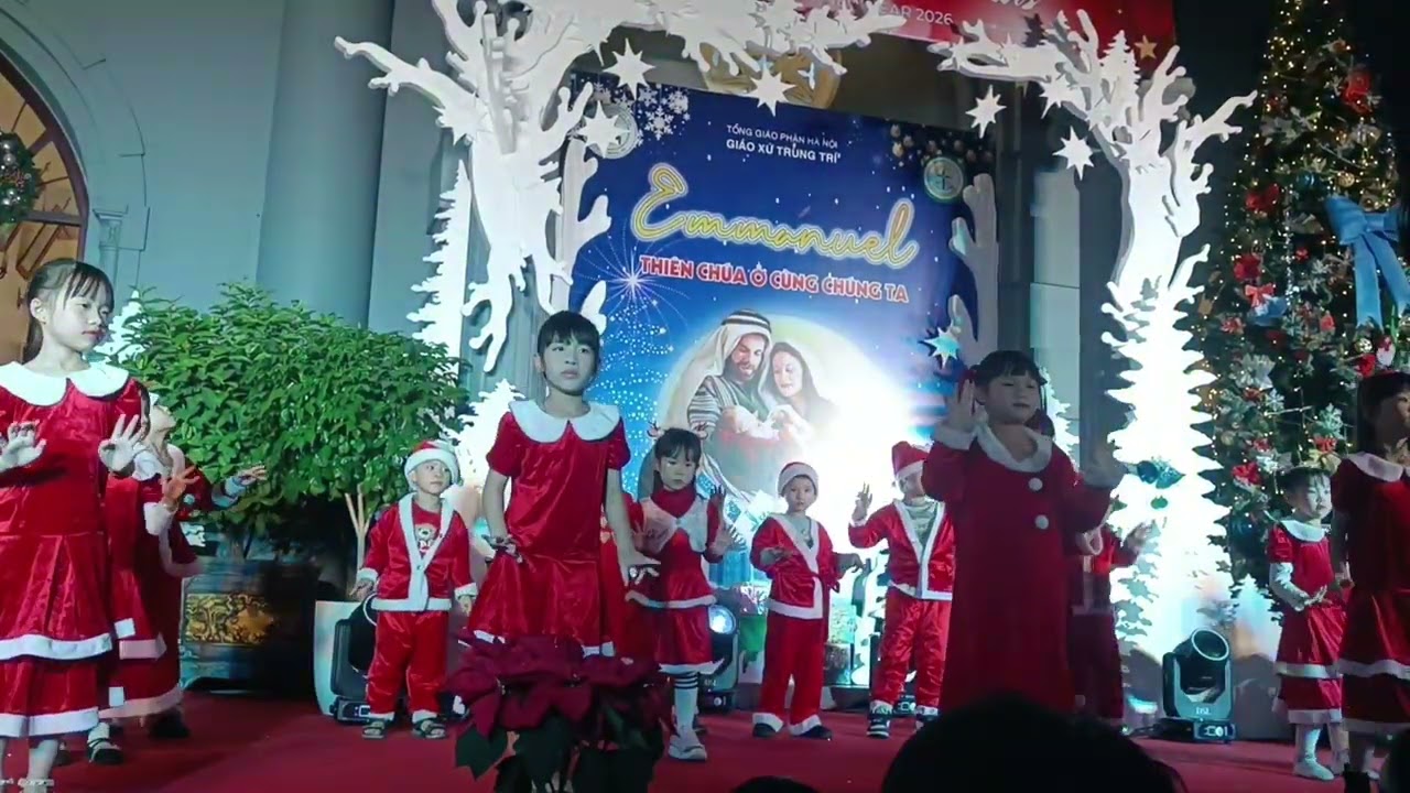 Giáng Sinh 2025 _ Vừng