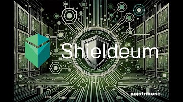 HOW SHIELDEUM (SDM) IS PROTECTING MILLIONS OF CRYPTO USERS
