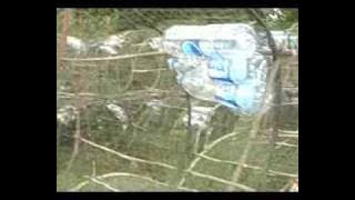 Download lagu Fish Trap Factory in Thailand