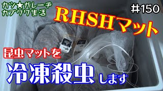 昆虫マットを冷凍で殺虫するにはどの程度の時間が必要なのか？RUSHレギュラーマットで試してみた！「カツ★ガレーヂカブクワ生活150」【カブトムシ・クワガタ】