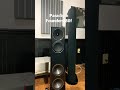 Paradigm founders 80f floor standing tower speakers stereo leorojas paradigm