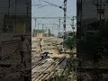 Live highlight