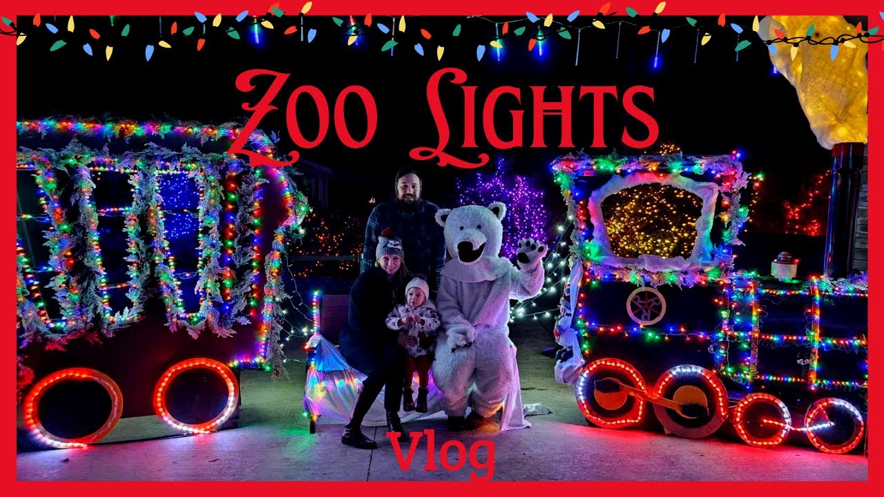 ZOO LIGHTS VLOG Point Defiance Zoo & Aquarium Vlogmas YouTube
