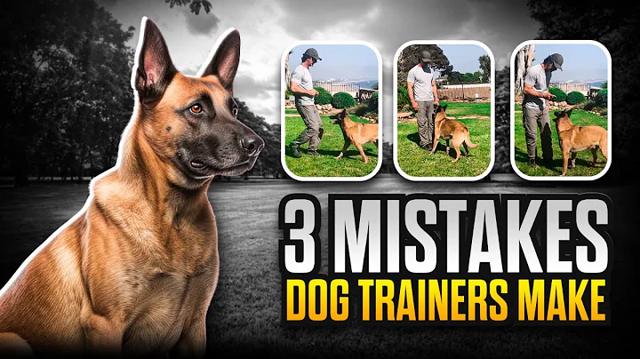 3 Mistakes Dog Trainers Make and How to AVOID Them #3  Obedience after RECALL