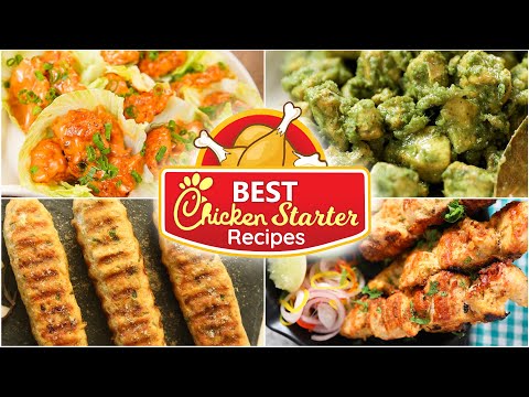 Best Chicken Starter Recipes   Dynamite Chicken   Chicken Seekh Kabab   Dahi Lasooni Chicken Tikka
