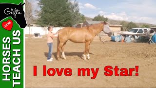 Live Replay - Energy Work on my horse STAR