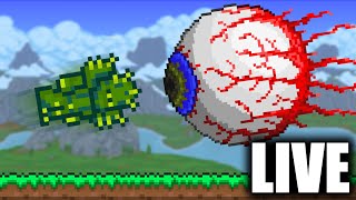 Terraria with Armor as my ONLY Weapon