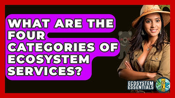 What Are The Four Categories Of Ecosystem Services? - Ecosystem Essentials