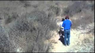 Densel Isi Compact 8-14-10