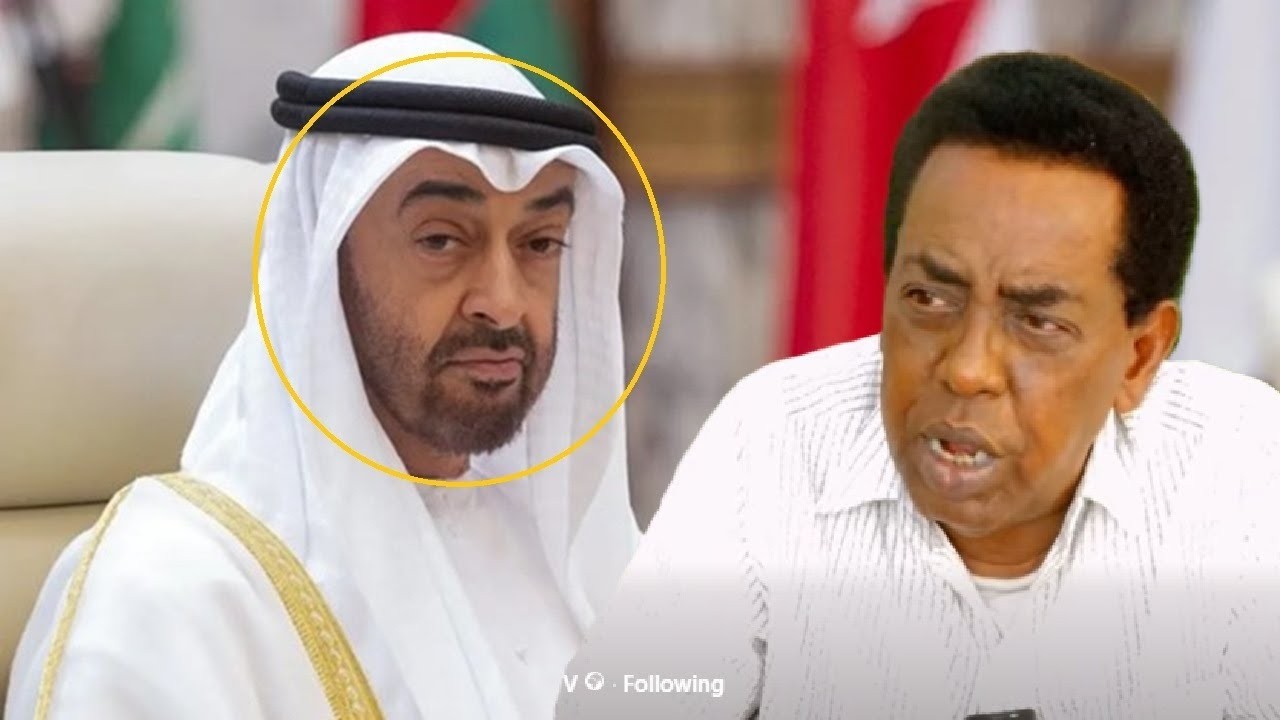 Xogo yaab leh, 2000 oo Caruur Soomaaliyeed ah ayaa la cunay' Prof Yaxya Caamir oo Epstein File