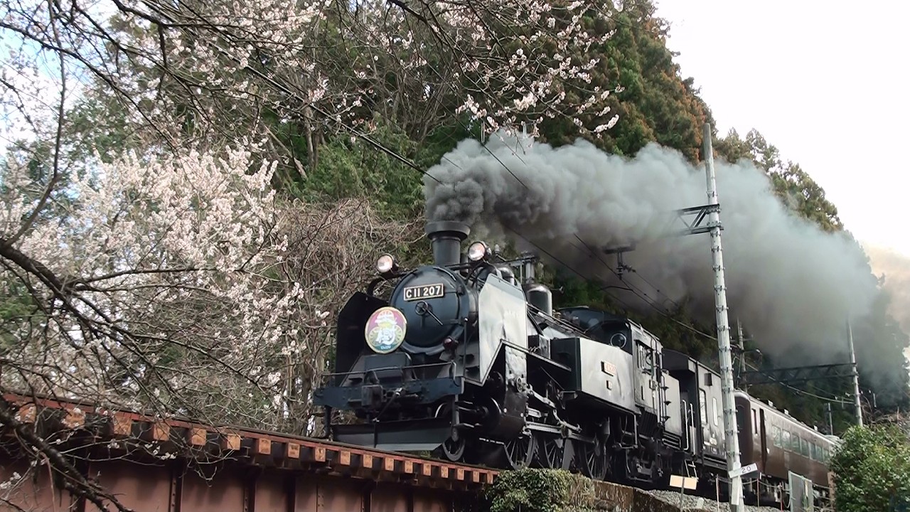 20260316 東武鬼怒川線「SL大樹」」白梅咲く砥川小橋梁を行く - YouTube