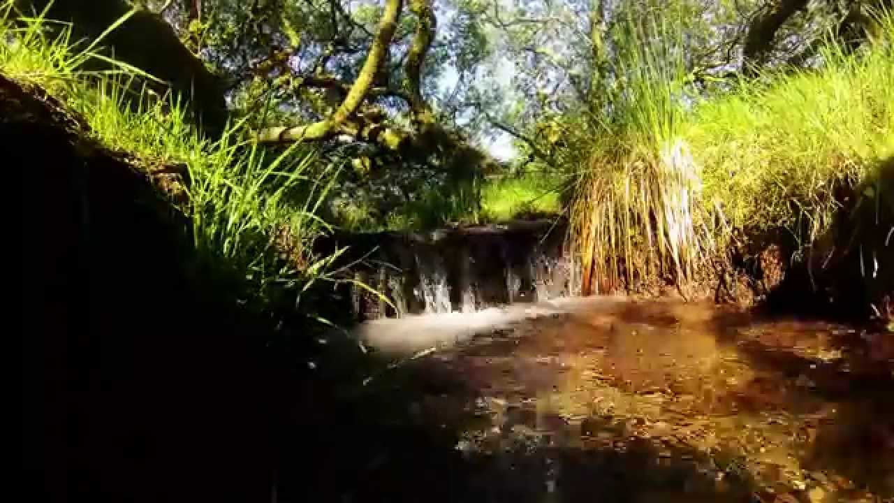 Life In Fast Forward Time Lapses YouTube