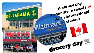 “Canadian Grocery Adventures  | Dollarama & Walmart Shopping Haul”