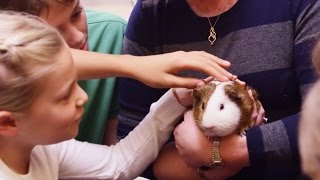 Pets in the Classroom - Funding and Supplies From Petco