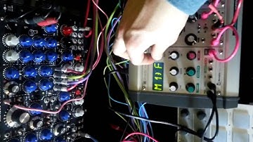 Mutable Instruments Braids / Pittsburgh Modular Filter / Wavetable Bees in the Trees Firmware