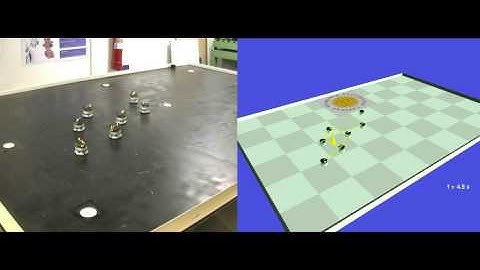 Flocking  multi-robot system