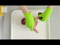 Kidney Dissection Video - Kidneys - WJEC GCSE Biology -  ENGLISH - Unit 2.6