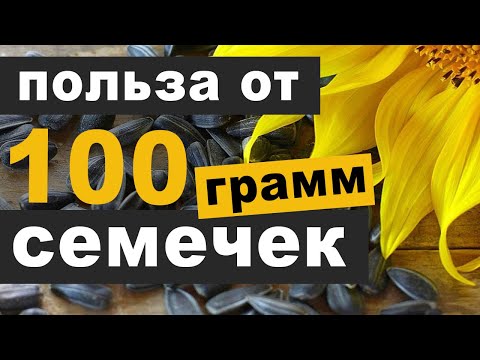 Что происходит с организмом, если часто есть семечки