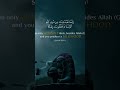 we are truly greatful  to Allah for honoring  us with the blessing of islam and sending as believers