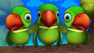 Cute parrots