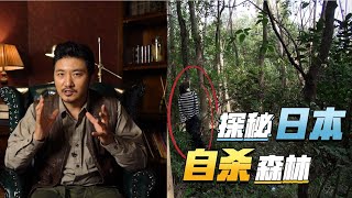 《雷探长事务所》之青木原树海自杀者树林，还原日本恐怖传说背后真相｜冒险雷探长Lei's adventure