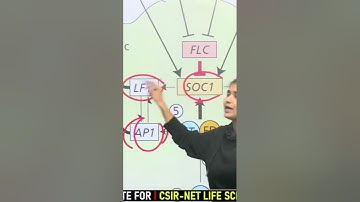 AP1 and LFY activate floral homeotic genes #plantdevelopment #tlsonline #csirnetlifesciences