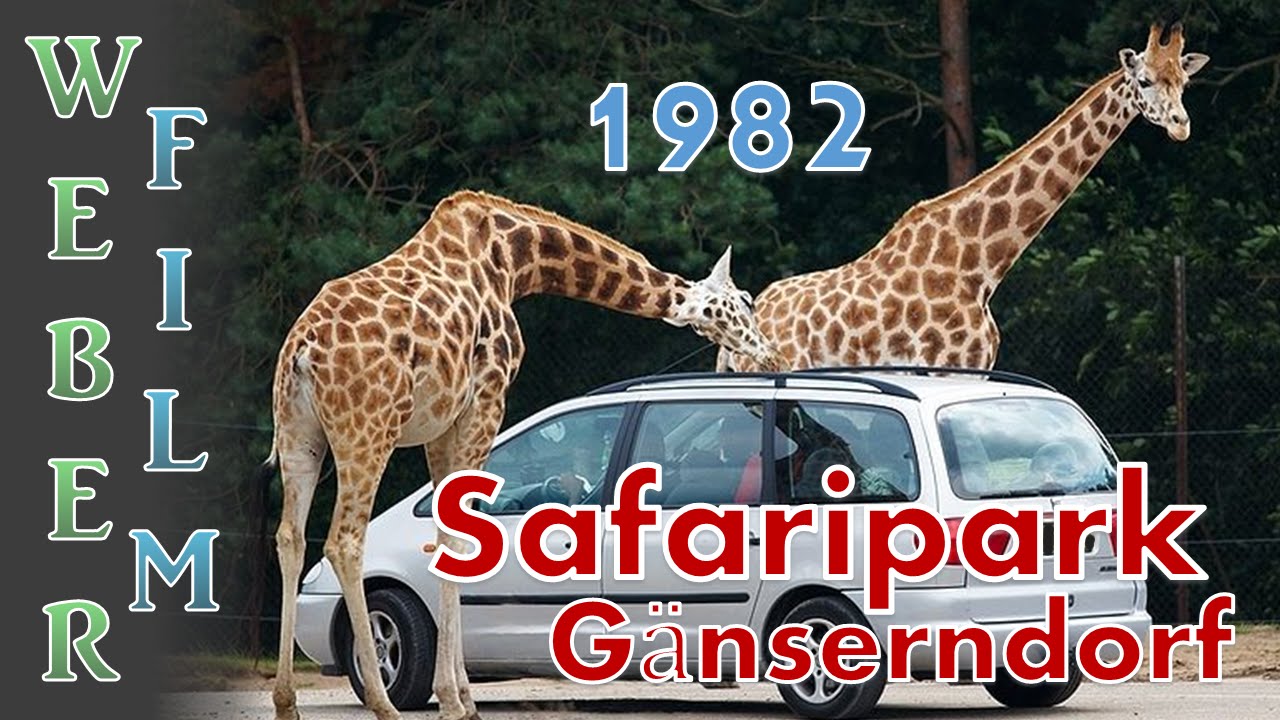 ganserndorf safari
